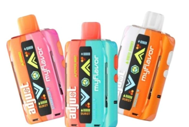 Personalize Your Plate: How Adjust MyFlavor Transforms Every Dinner_