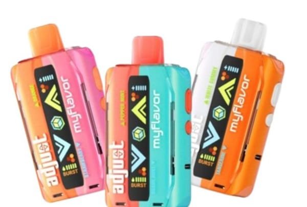 Personalize Your Plate: How Adjust MyFlavor Transforms Every Dinner_